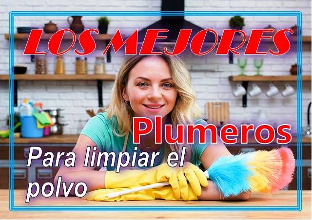 Mejores Plumeros Para Limpiar El Polvo