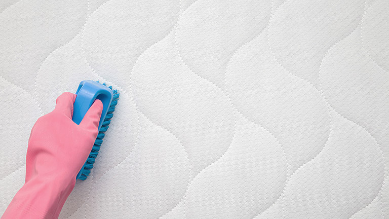 Como Quitar Manchas De Sangre Guia Detallada Trucos